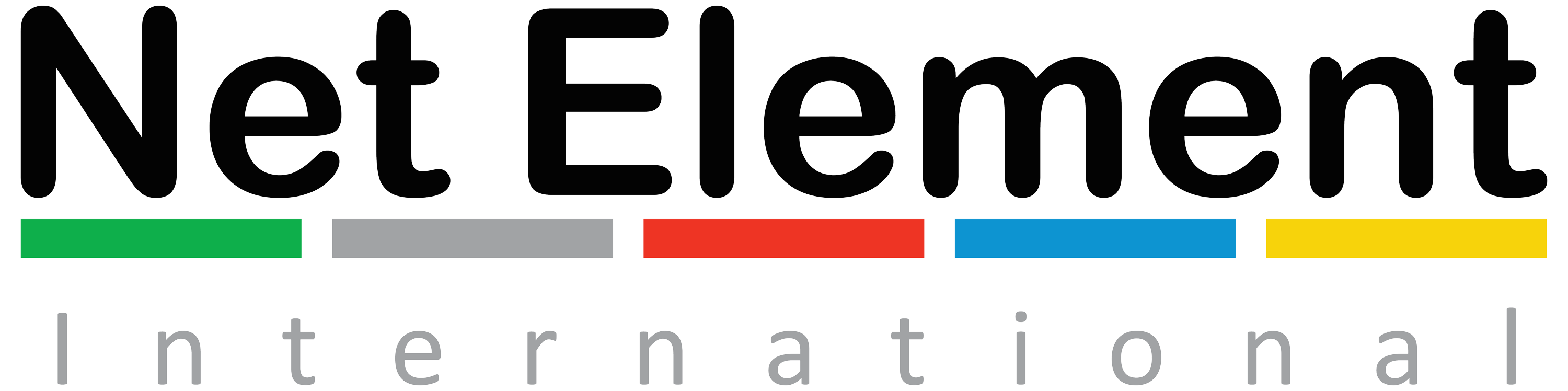 Net_Element_International_Logo